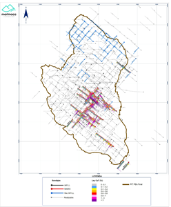 Plan View of Infill Drilling Results, Planned Holes and MOD PEA Pit Shell