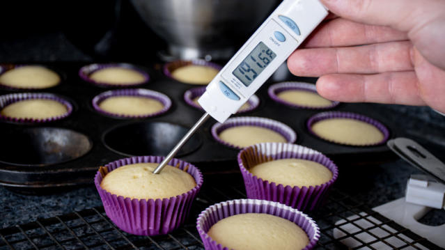 Using a Cake Tester vs Meat Thermometer for Steak