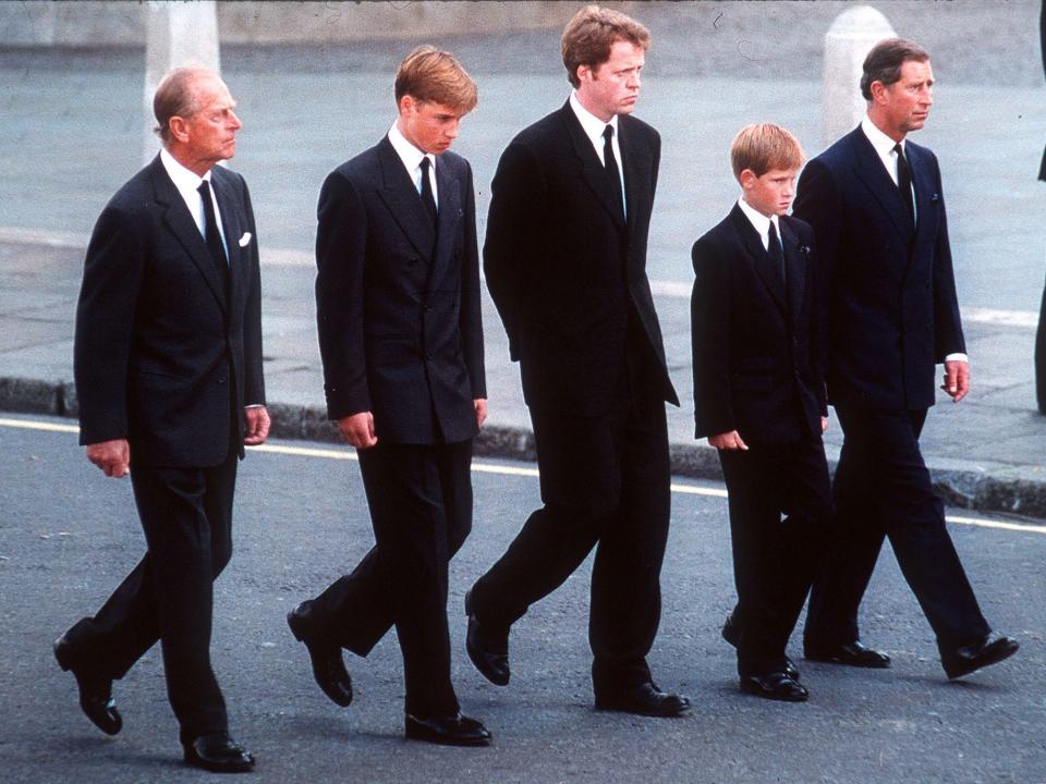 Prince Harry, Prince William at Princess Diana's funeral