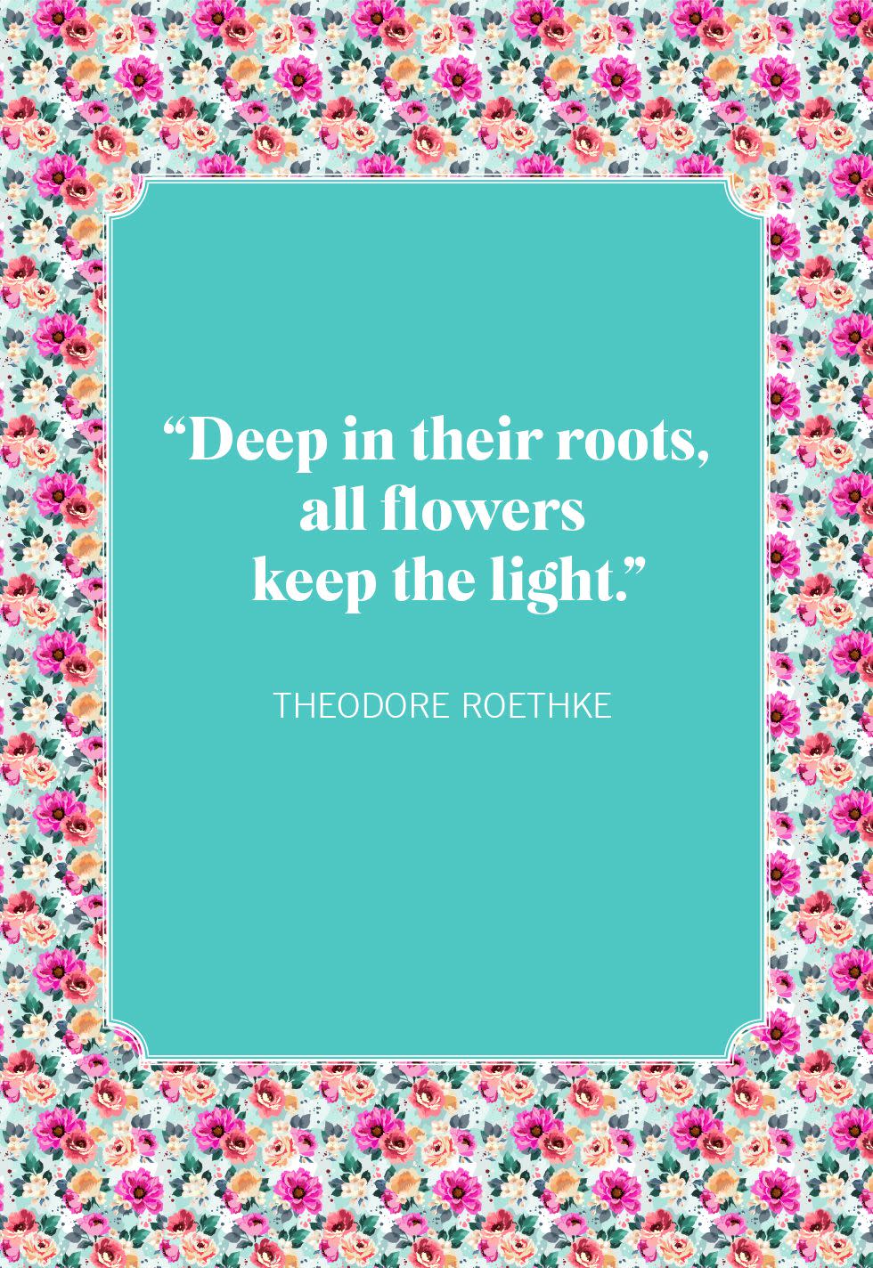 theodore roethke flower quotes