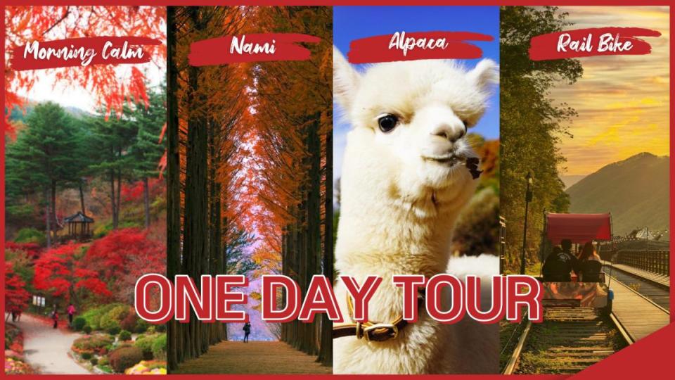 Nami Island, Petite France Village, Garden of Morning Calm, Rail Bike, Alpaca World. (Photo: KKday SG)