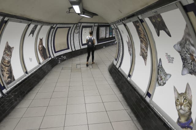 Clapham Common tube station overtaken by cats