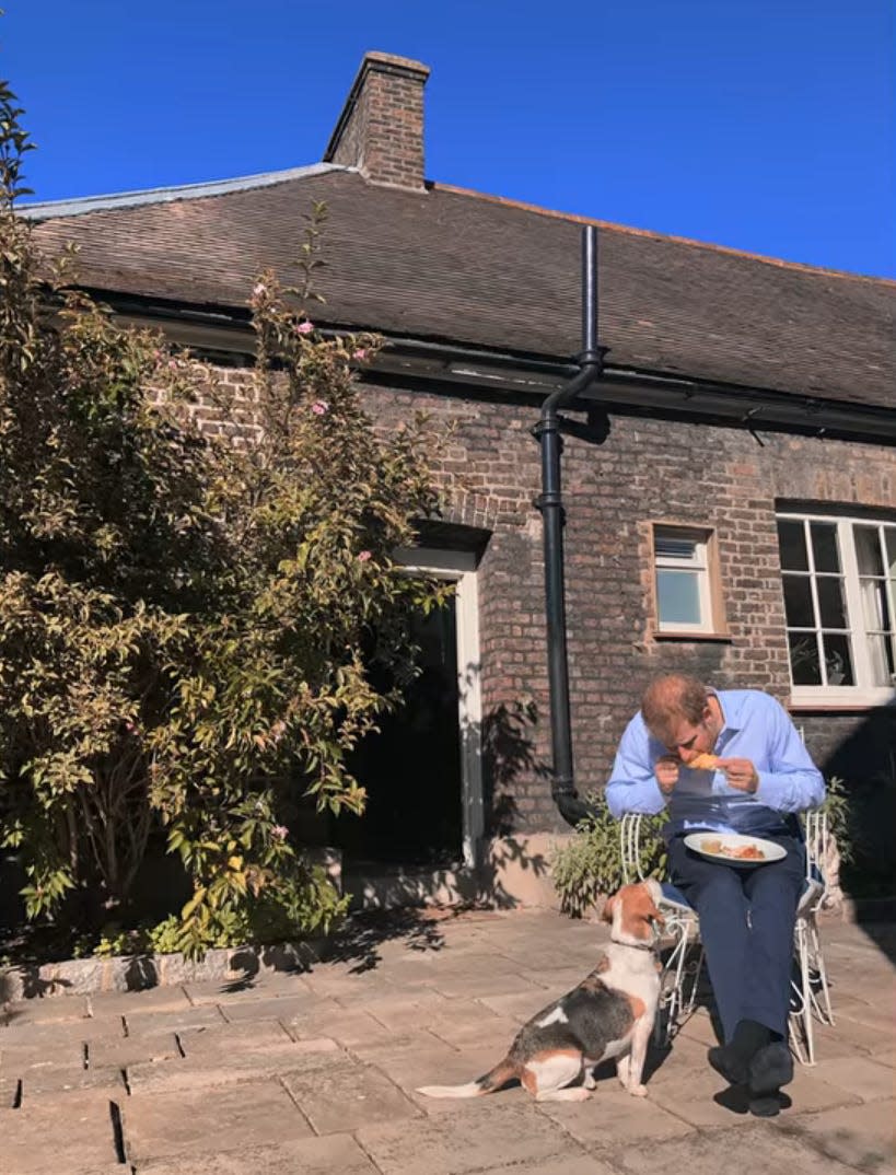 Prince Harry sits with a beagle at Nottingham Cottage.