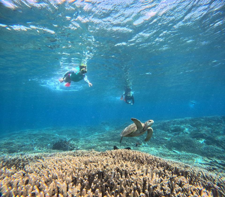 Ferlita beim Schnorcheln im Great Barrier Reef. - Copyright: Gabriella Ferlita