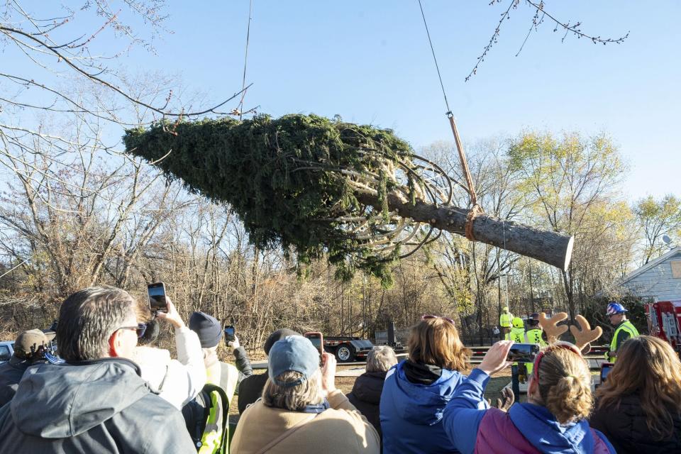 2022 Rockefeller Center Christmas Tree Cutting, Queensbury, United States - 10 Nov 2022