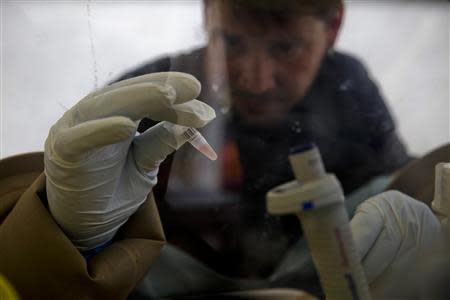 A scientist separates blood cells from plasma cells to isolate any Ebola RNA in order to test for the virus at the European Mobile Laboratory in Gueckedou April 3, 2014. REUTERS/Misha Hussain