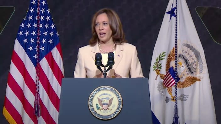 Vice President Kamala Harris delivers remarks at the 113th NAACP Convention. (Photo: White House)