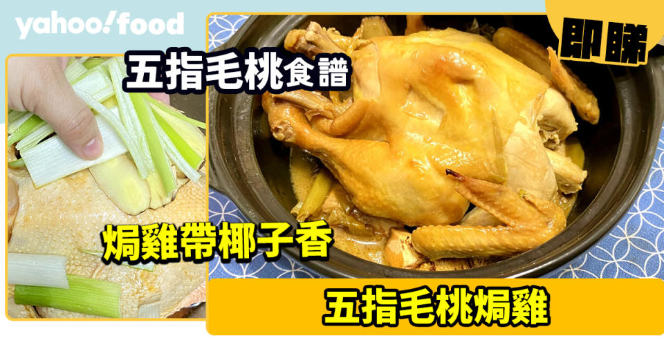 五指毛桃食譜│焗雞帶椰子香 雞肉要嫩記得用這種鍋 