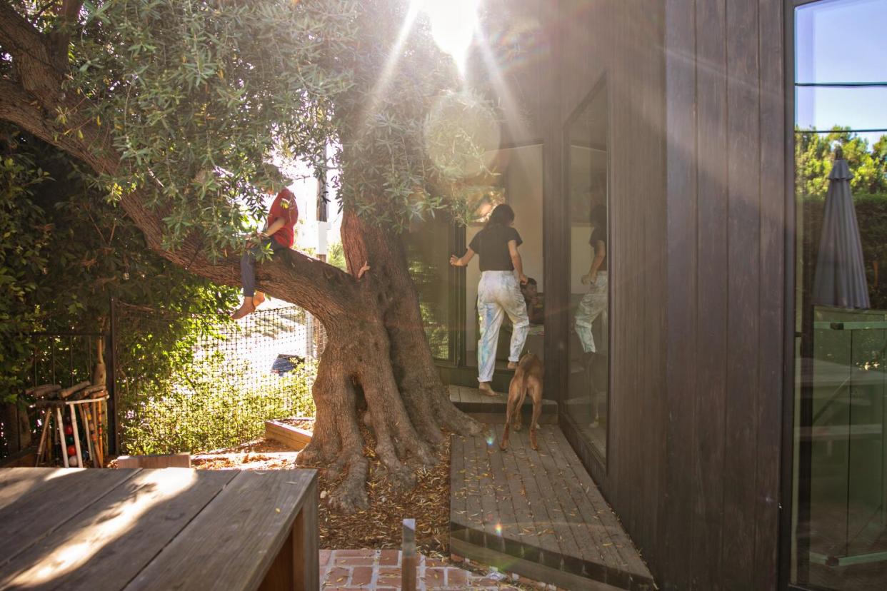 A woman enters a house alongside a dog, while a boy sits in a tree outside.