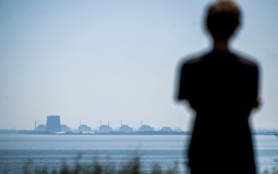 Zaporizhzhia power station seen from across the Dnipro in Nikopol - PAUL GROVER