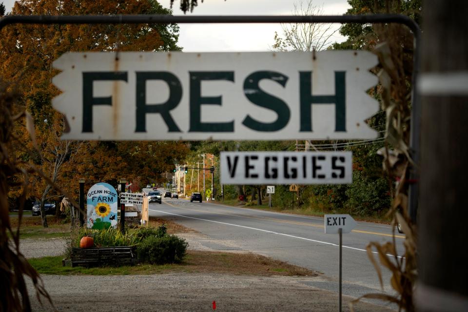 A sign reads "Fresh Veggies."