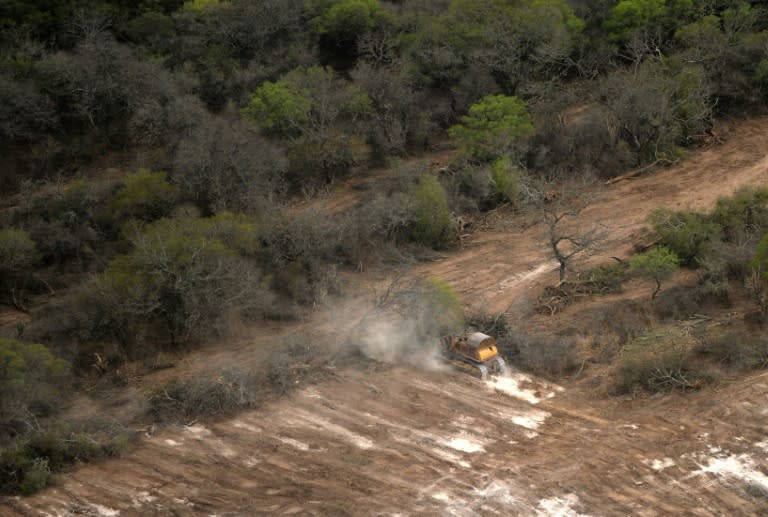 A bulldozer removes native forest preparing the fields for agriculture in Bella Vista in northwest Argentina