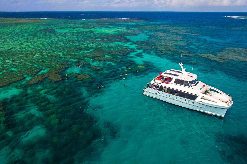 <p>Courtesy of Wavelength Reef Cruises</p> The Wavelength 4 vessel anchored near Opal Reef in Australia.