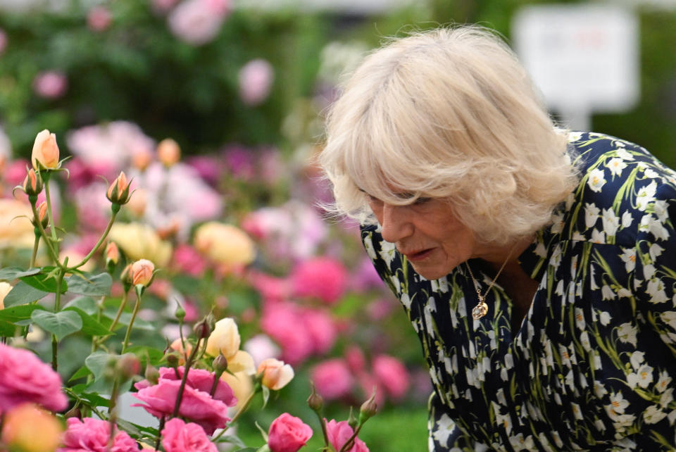 Britain's Queen Camilla smells a floral display at the Chelsea Flower Show, at the Royal Hospital Chelsea on May 22, 2023 in London, England. The Chelsea Flower Show, also known as the Great Spring Show, is held for five days in May by the Royal Horticultural Society on the grounds of the Royal Hospital Chelsea. (Photo by Toby Melville - WPA Pool/Getty Images)