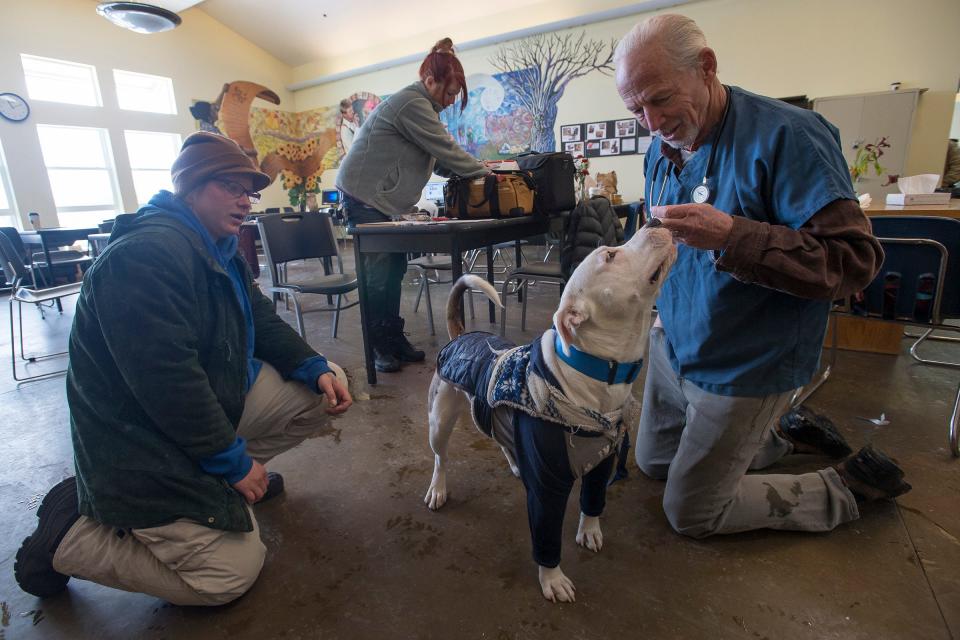 Street Dog Coalition veterinarian Dr. Jon Geller, right, gives 11-month-old Odin a treat during a checkup while his owner, Tera, looks on at The Sister Mary Alice Murphy Center for Hope in Fort Collins in this file photo. Geller is now receiving an award for his work with pets at the Ukraine border.