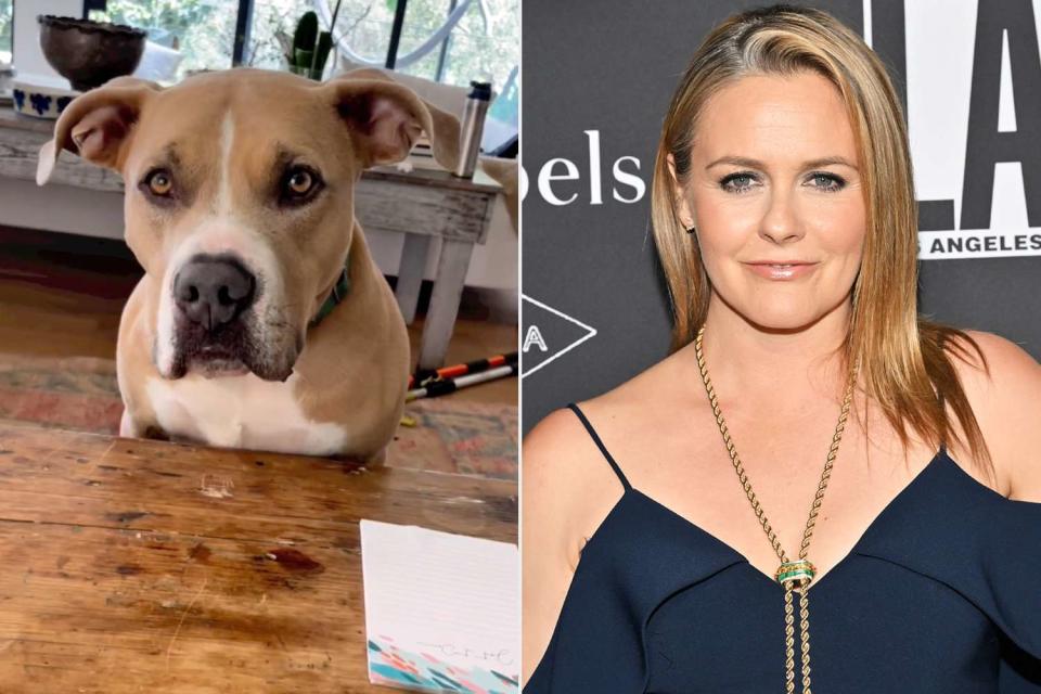 Alicia Silverstone/Instagram, Michael Buckner/WWD via Getty  Alicia Silverstone and one of her pet pooches