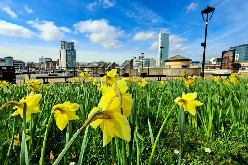 Belfast - stock image