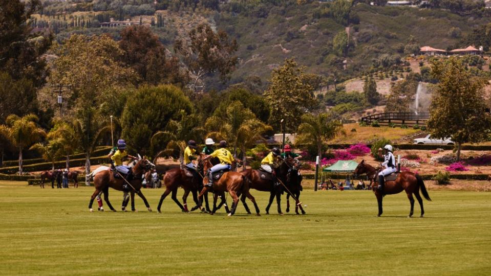 Players playing polo on the property. - Credit: Rial Productions