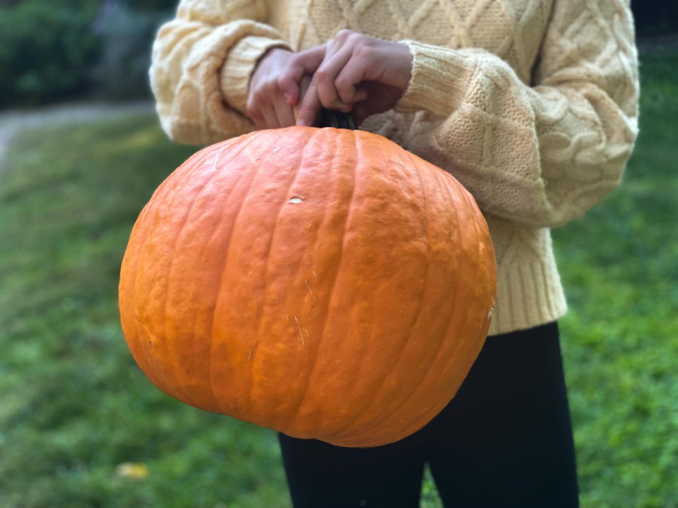 Person holding a large pumpkin in front of them.