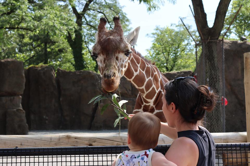A mom holding her baby feeding a giraffe at the Giraffe Feeding Experience in the Philadelphia Zoo