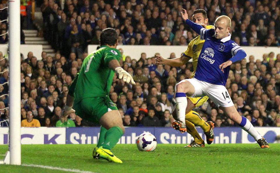 Everton's Steven Naismith, right, scores in the game against Crystal Palace during their English Premier League match at Goodison Park, Liverpool, England Wednesday April 16, 2014. (AP Photo/Barry Coombs/PA) UNITED KINGDOM OUT