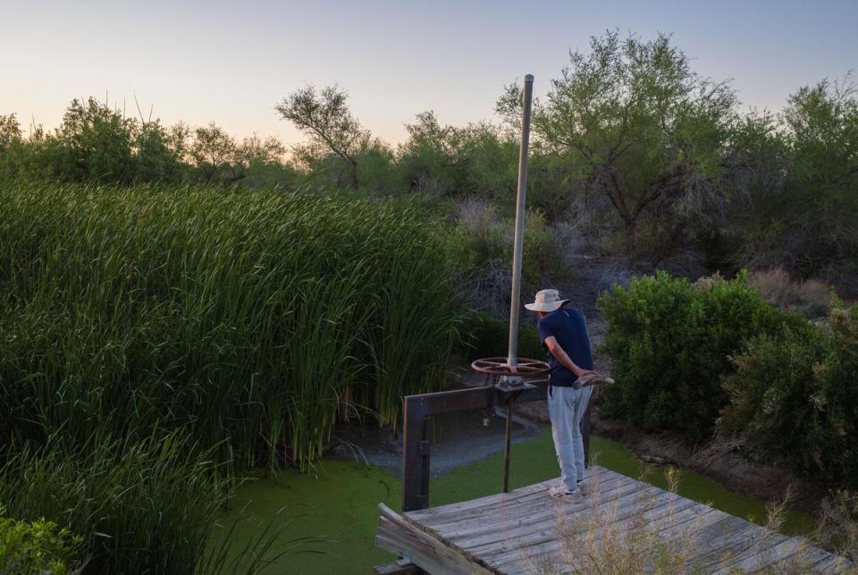 A man birdwatching at the Rio Bosque Wetlands Park. Earlier in the day TxDOT held a public comment meeting on expanding the Loop 375 Border Highway through the park in Socorro, Texas on May 2, 2024.