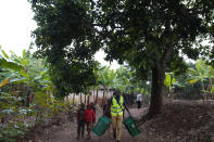 A man carries crates to pack avocados in Kayanza province, Burundi, Sept. 18, 2024. (AP Photo/Brian Inganga)