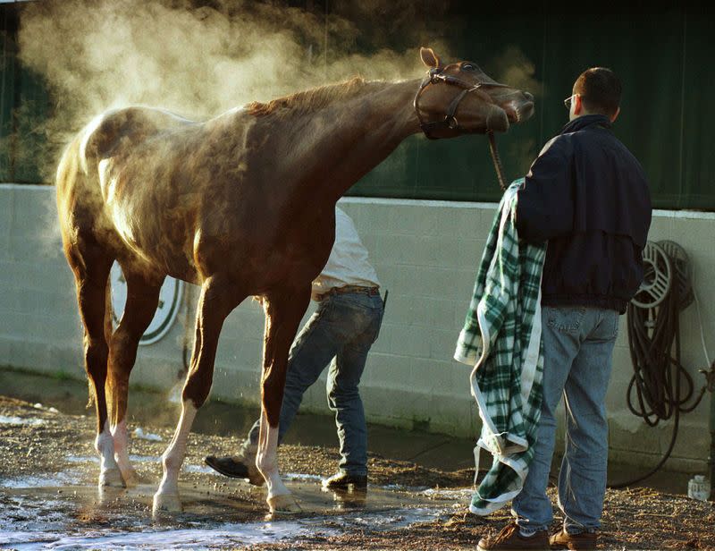 FILE PHOTO: Charismatic, the Kentucky Derby and Preakness winner, is held by stable foreman John Sica as he is washed down by groom Cesar Arrendonzo after a morning workout on the track at Churchill Downs in Louisville, Kentucky.