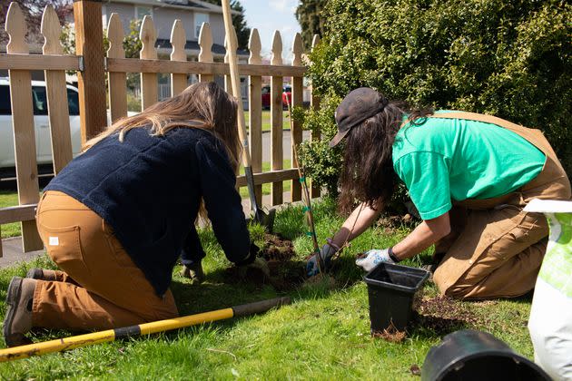 Tara Eberlin-Pohlman and Dominick Harris plant a plum tree at a home in Northeast Portland where the tree equity score is 83. More affluent neighborhoods have tree equity scores of 100, while lower income neighborhoods can be as low as 52.