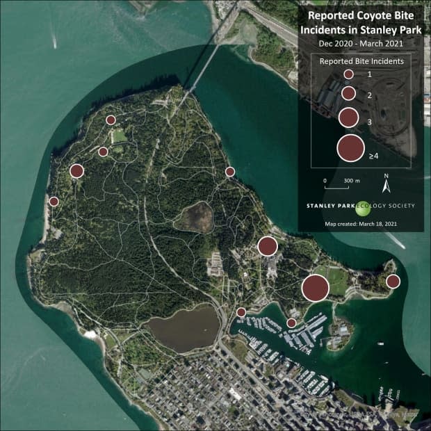 The Stanley Park Ecology Society made this map to show where people have been bitten by coyotes in the park since December.