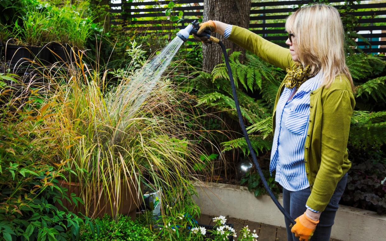 A woman using a hosepipe to water plants in a garden