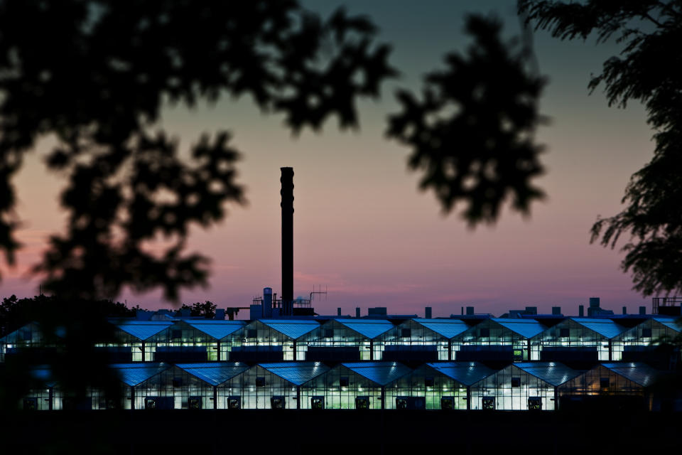 Monsanto agribusiness greenhouses on top of a research building in St. Louis in 2009.&nbsp; (Photo: Brent Stirton via Getty Images)