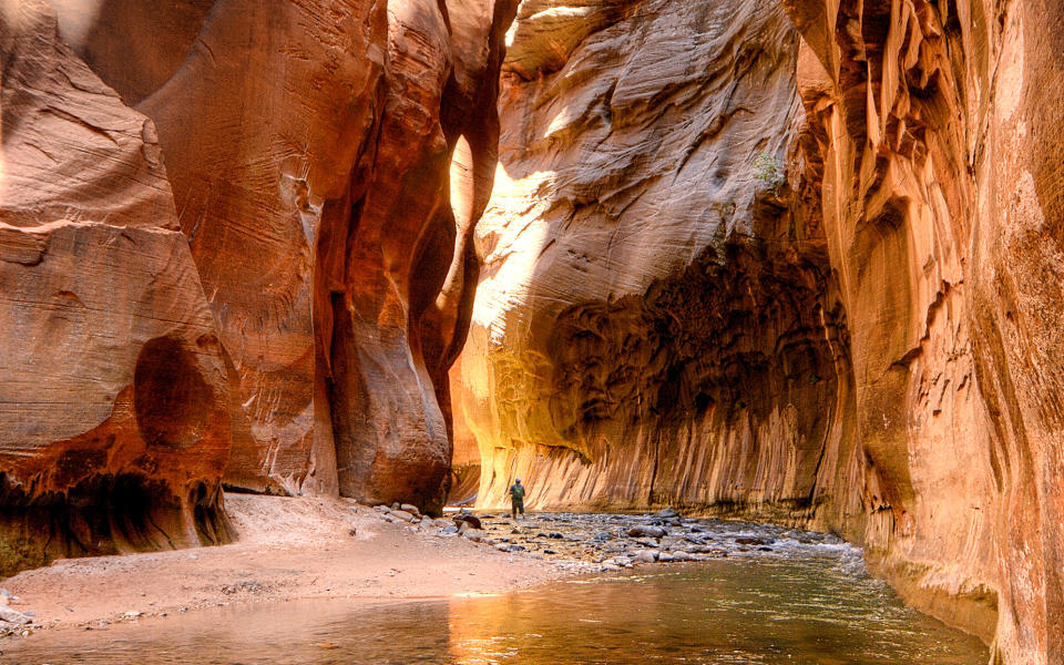 The Narrows in Zion National Park, Utah