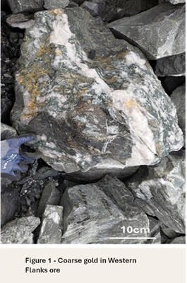 Figure 1 - Coarse gold in Western Flanks ore (CNW Group/Westgold Resources Limited)