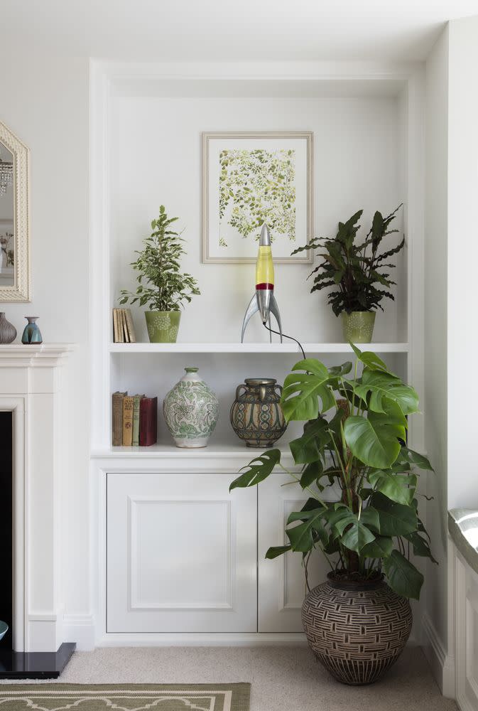 a white room with a white shelf and plants