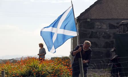 A man erects a Scottish Saltire in the garden of his cottage on the Isle of Lewis in the Outer Hebrides September 11, 2014. REUTERS/Cathal McNaughton