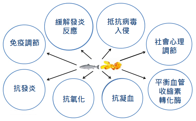 Omega-3脂肪酸改善長新冠之潛在分子機制總結。(圖/安南醫院)