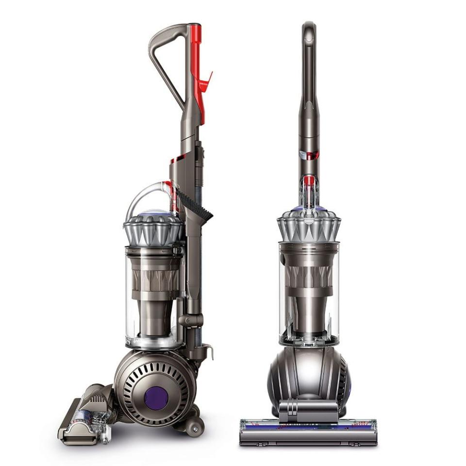 3) Ball Animal 2 Upright Vacuum