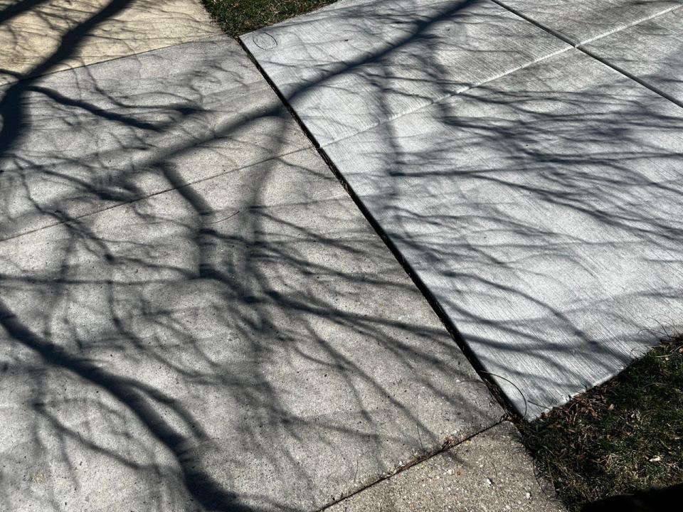 Tree shadows take on an ethereal swoop during the 2024 solar eclipse