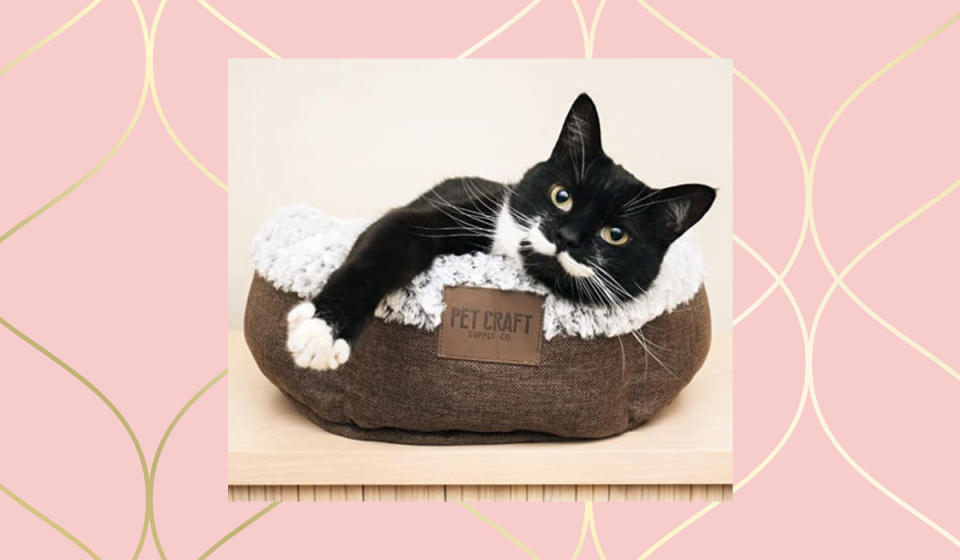 Aww...look at that little muffin all snuggly-wuggly in her soft wittle kitty-cat bed! (Photo: Amazon)