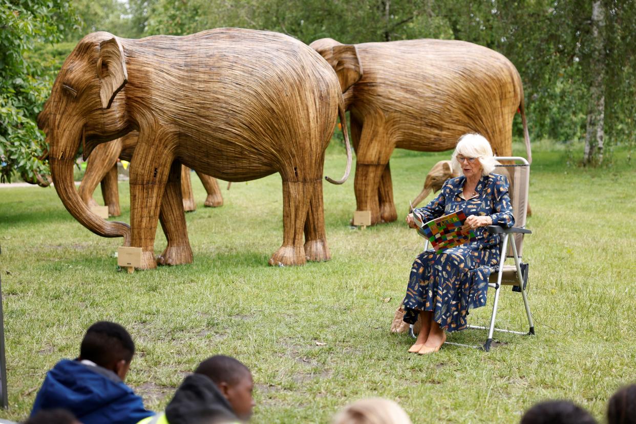 Britain's Britain's Camilla, Duchess of Cornwall launches a story trail to promote child literacy by model Asian elephants in St James' Park in central London on June 22, 2021. (Photo by Heathcliff O'Malley / POOL / AFP) (Photo by HEATHCLIFF O'MALLEY/POOL/AFP via Getty Images)