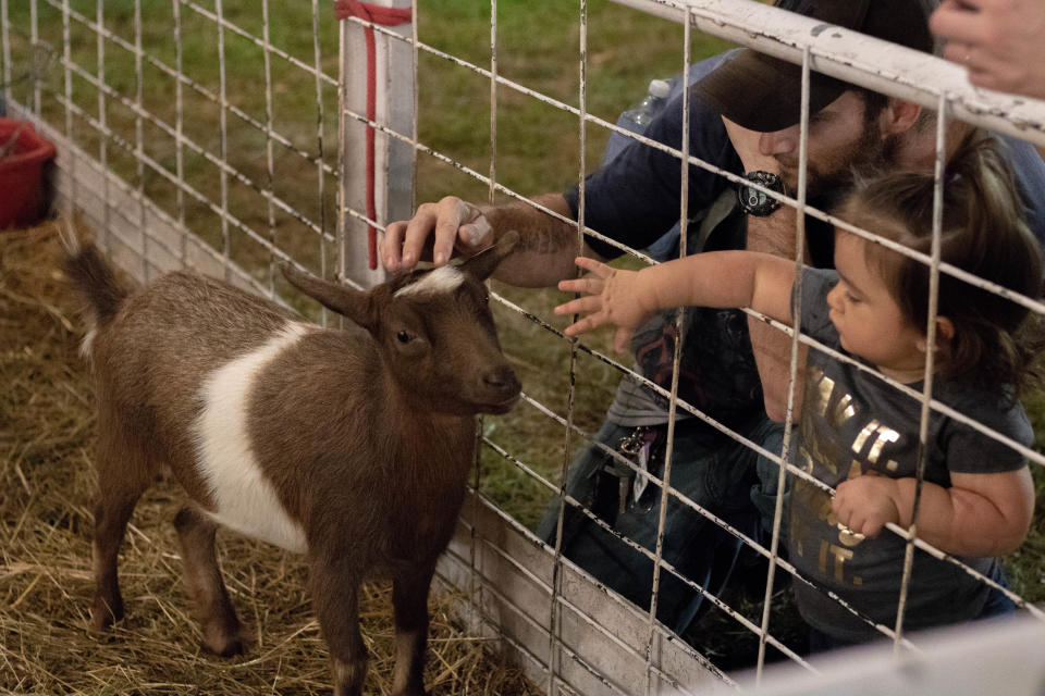 The fair is a link between Somerset County's rural and agricultural past and its high-tech present.