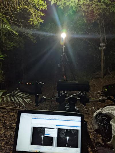 Scientists used high-speed stereo motion capture to document how the presence of artificial light at night affects insects’ flight behavior. Samuel Fabian, <a href="http://creativecommons.org/licenses/by-nd/4.0/" rel="nofollow noopener" target="_blank" data-ylk="slk:CC BY-ND;elm:context_link;itc:0;sec:content-canvas" class="link ">CC BY-ND</a>