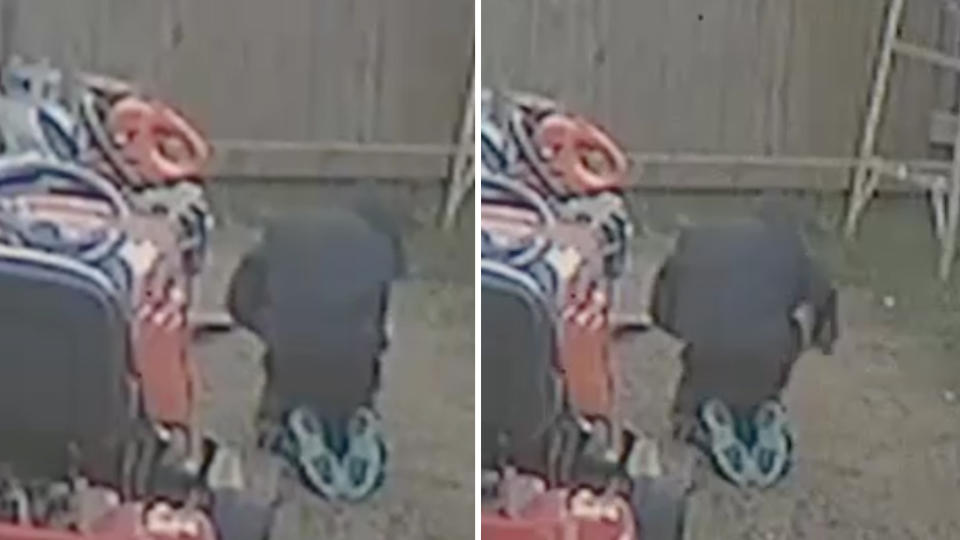 The child can be seen bending over and striking the puppy in the backyard of the Oklahoma home.