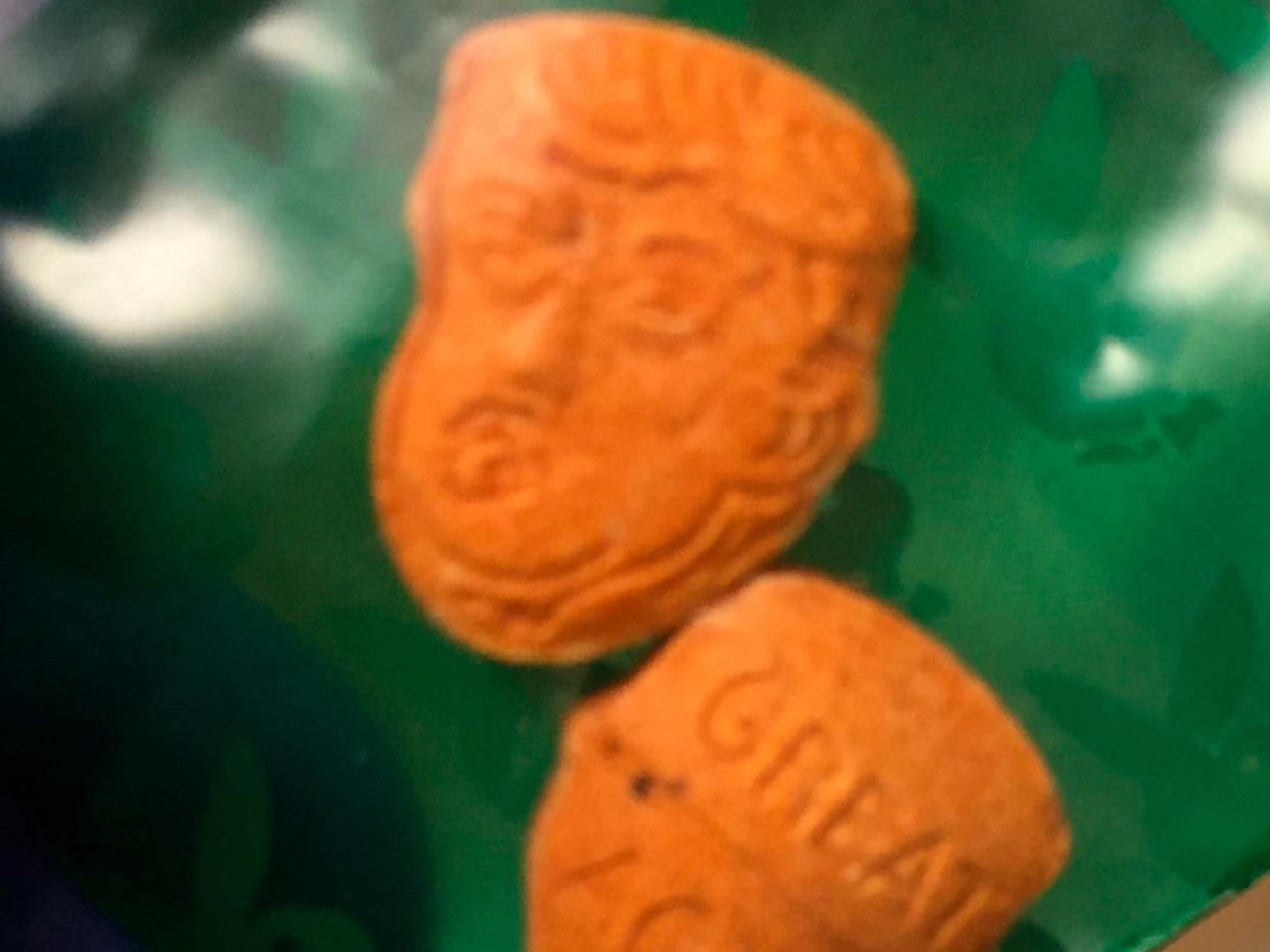 Florida police found Donald Trump-shaped ecstasy pills while responding to an overdose call: Indiana State Police Peru Post via AP