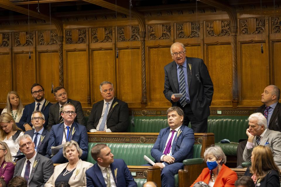 File photo of Sir Roger Gale asking a question in the Commons (PA Media)