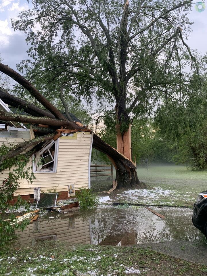 A tree fell on a house on Lige Street in Rock Hill.