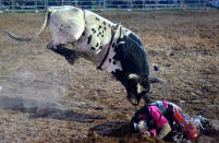 <p>Bull Rider Matt Boland is struck by the bull after taking a fall during the PBR Bull Riding Competition at the Cunnamulla Fella Festival in Cunnamulla, Australia. (Bradley Kanaris/Getty Images)<br></p>