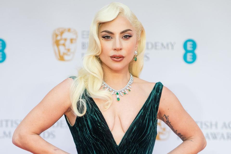 <p>Samir Hussein/WireImage</p> Lady Gaga