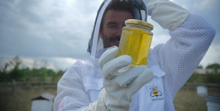 David Beckham recogiendo miel